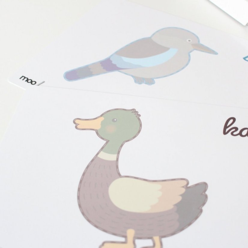 Sada ZVÍŘATA MOO book™
